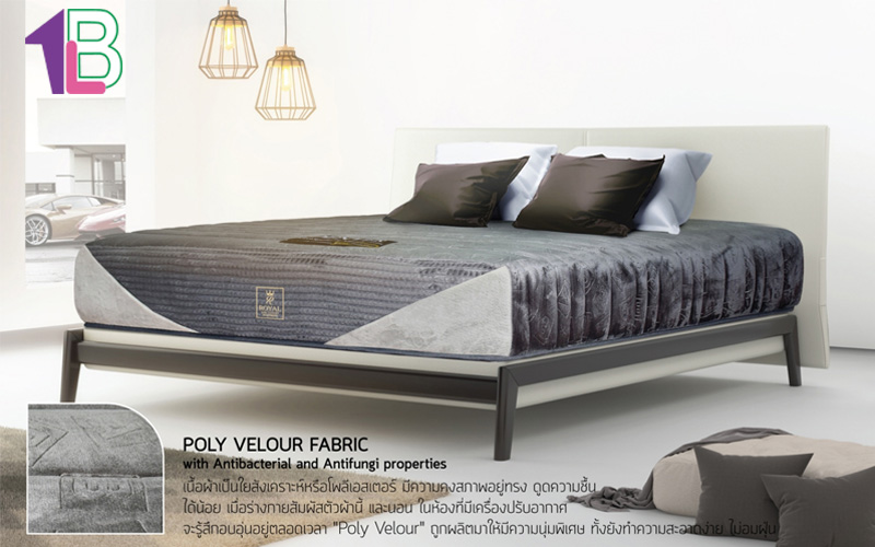 Bangkok Living Co.,Ltd.